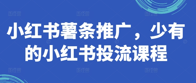 小红书薯条推广，少有的小红书投流课程-七七项目网
