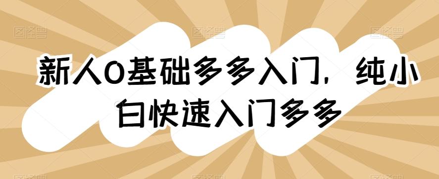 新人0基础多多入门，​纯小白快速入门多多-七七项目网