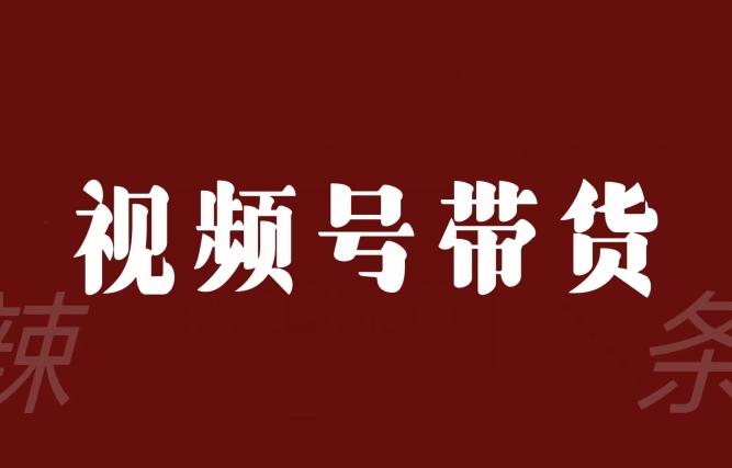 视频号带货联盟，赚信息差的带货钱，只需手机随时随地都可以做！-七七项目网