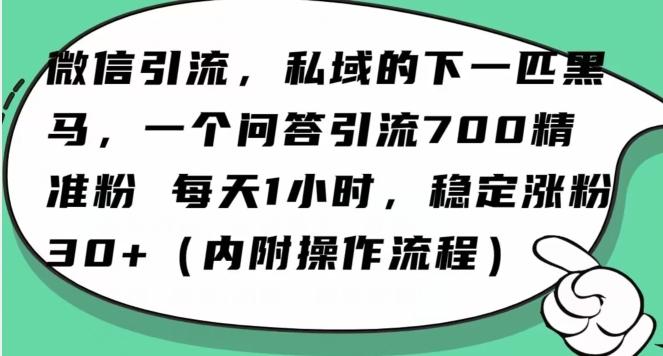 怎么搞精准创业粉？微信新赛道，每天一小时，利用Ai一个问答日引100精准粉-七七项目网