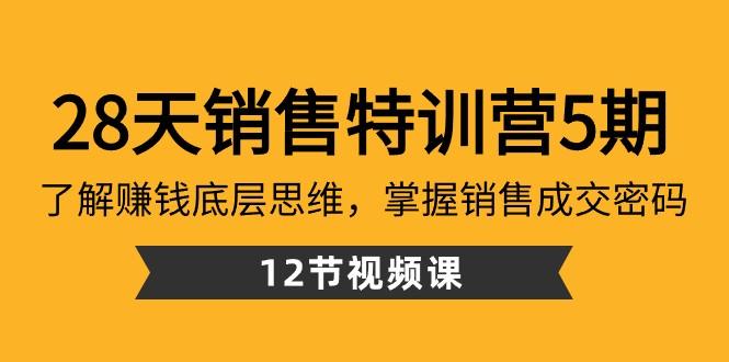 28天销售特训营5期：了解赚钱底层思维，掌握销售成交密码（12节课）-七七项目网
