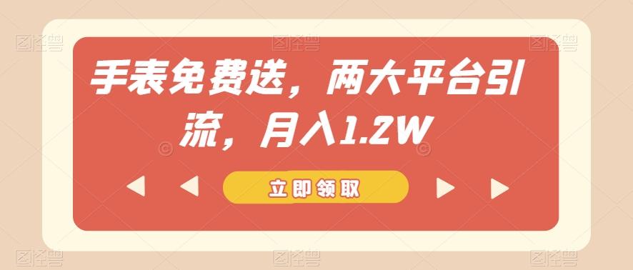 手表免费送，两大平台引流，月入1.2W【揭秘】-七七项目网