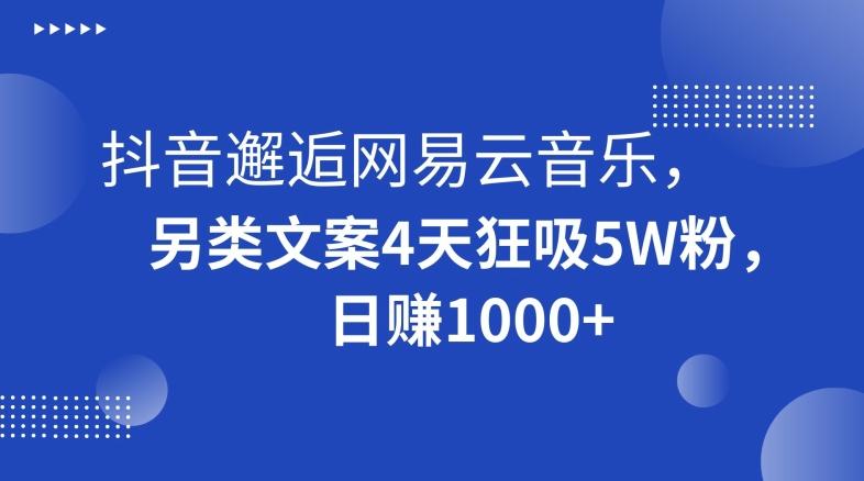 抖音邂逅网易云音乐，另类文案4天狂吸5W粉，日赚1000+【揭秘】-七七项目网
