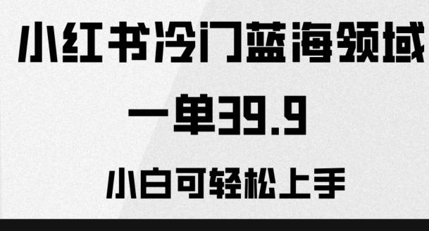 小红书冷门蓝海领域，一单39.9，小白可轻松上手-七七项目网