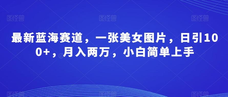 最新蓝海赛道，一张美女图片，日引100+，月入两万，小白简单上手-七七项目网