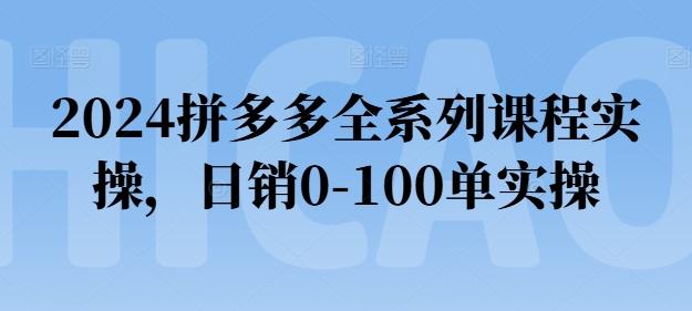2024拼多多全系列课程实操，日销0-100单实操【必看】-七七项目网