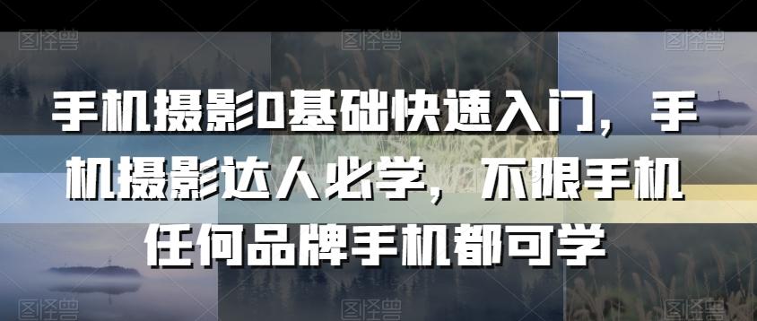手机摄影0基础快速入门，手机摄影达人必学，不限手机任何品牌手机都可学-七七项目网