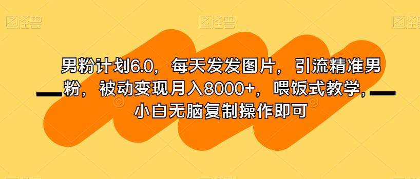 男粉计划6.0，每天发发图片，引流精准男粉，被动变现月入8000+，喂饭式教学，小白无脑复制操作即可-七七项目网