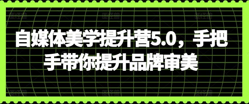 自媒体美学提升营5.0，手把手带你提升品牌审美-七七项目网