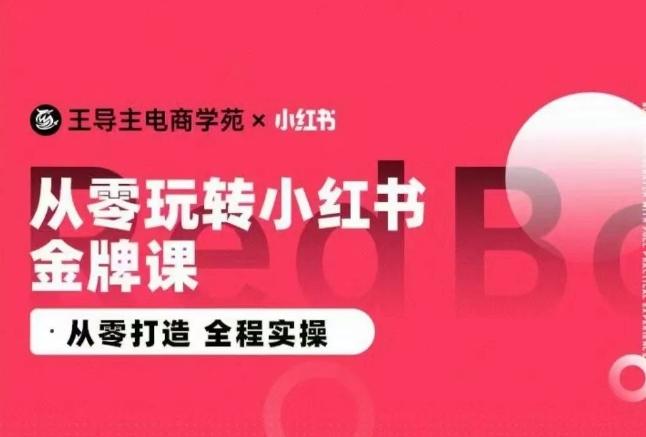 王导主·小红书电商运营实操课，​从零打造  全程实操-七七项目网