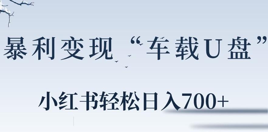 小红书“车载U盘”暴利引流，日入700+-七七项目网