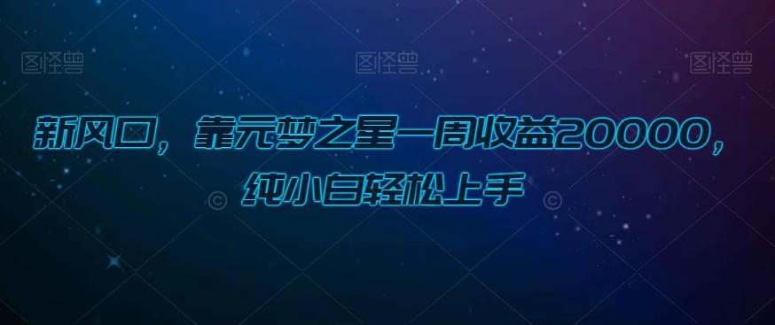 新风口，靠元梦之星一周收益20000，纯小白轻松上手-七七项目网
