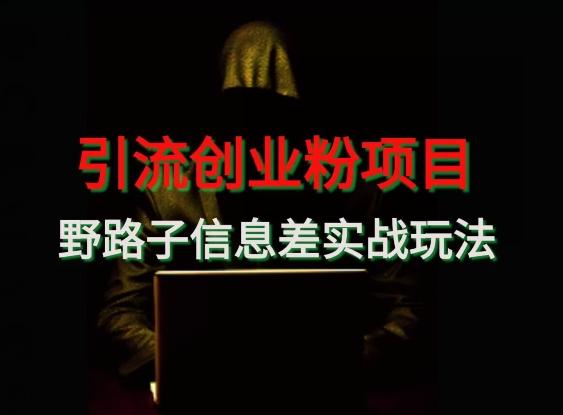 【引流创业粉】野路子信息差玩法实战教学-七七项目网