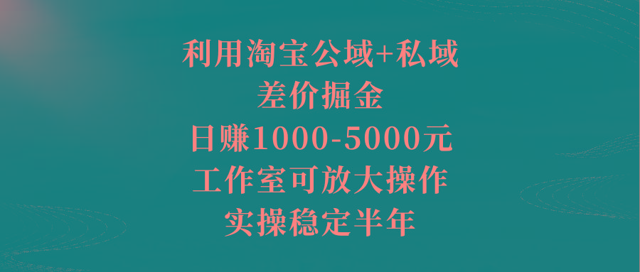 利用淘宝公域+私域差价掘金，日赚1000-5000元，工作室可放大操作，实操…-七七项目网