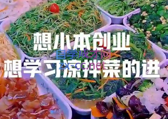 李记·精品凉拌菜系列热卤系列教程-七七项目网