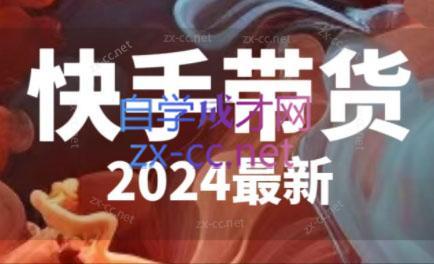 快手带货(2024最新)-七七项目网