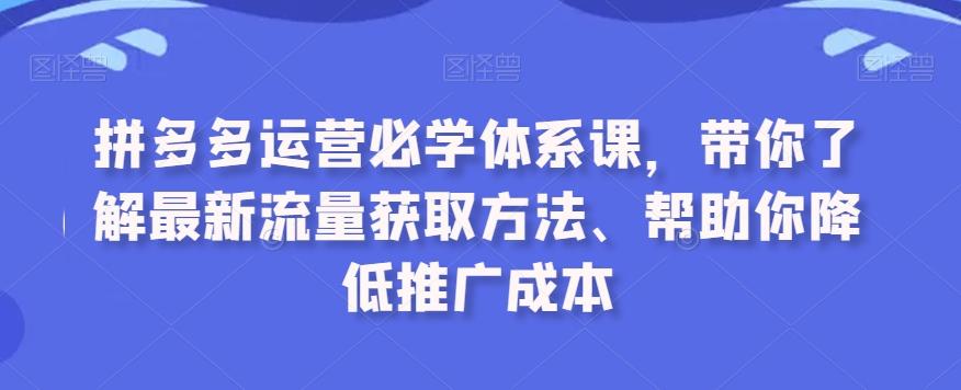 拼多多运营必学体系课，带你了解最新流量获取方法、帮助你降低推广成本-七七项目网
