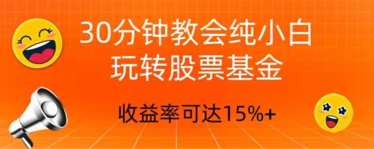30分钟教会你玩转股票基金，只教好的筛选方法，不荐股-七七项目网