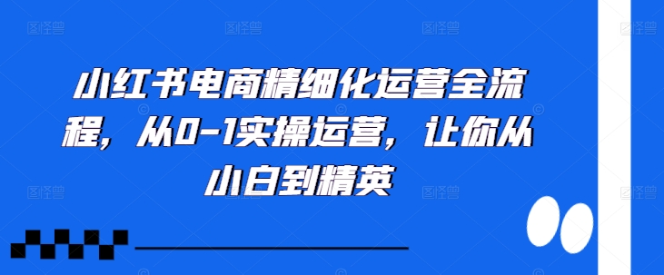 小红书电商精细化运营全流程，从0-1实操运营，让你从小白到精英-七七项目网