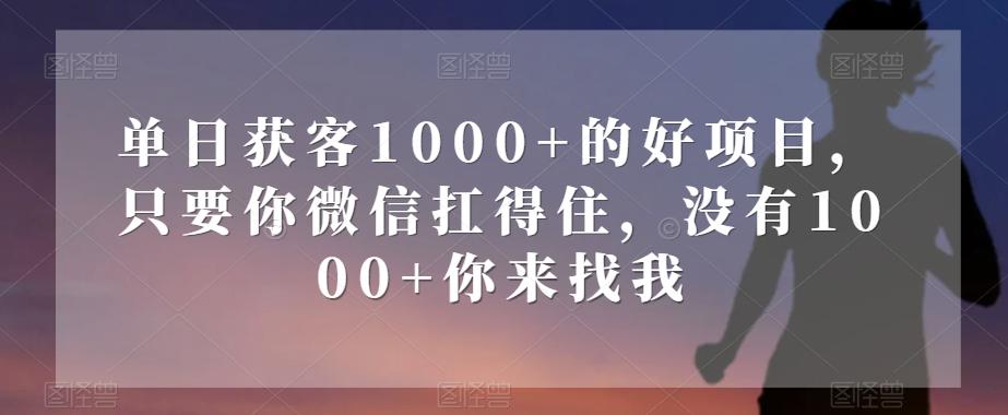 单日获客1000+的好项目，只要你微信扛得住，没有1000+你来找我【揭秘】-七七项目网