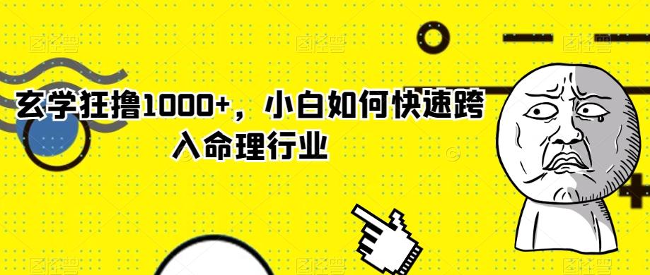 玄学狂撸1000+，小白如何快速跨入命理行业-七七项目网