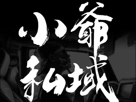 小爷·私域项目操盘手-七七项目网
