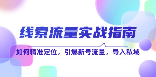 线 索 流 量-实战指南：如何精准定位，引爆新号流量，导入私域-七七项目网