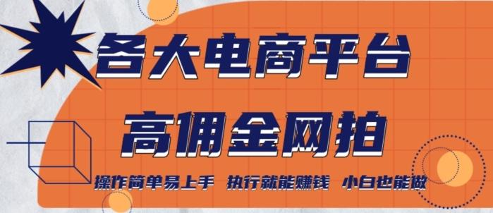 各大电商平台高佣金网拍，操作简单易上手，执行就能赚钱，小白也能做-七七项目网