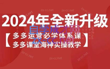 海神老师·拼多多运营必学体系课-七七项目网