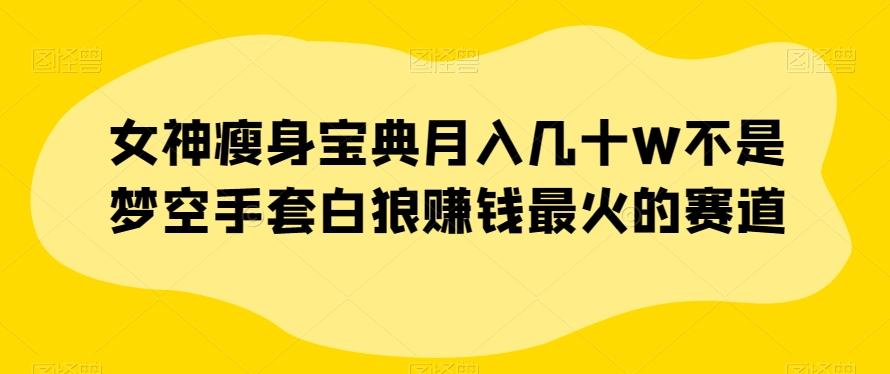 女神瘦身宝典月入几十W不是梦空手套白狼赚钱最火的赛道【揭秘】-七七项目网