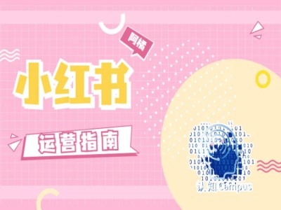 小红书运营指南，没有套路，全是经验-七七项目网