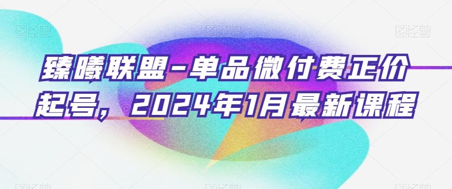 臻曦联盟-单品微付费正价起号，2024年1月最新课程-七七项目网