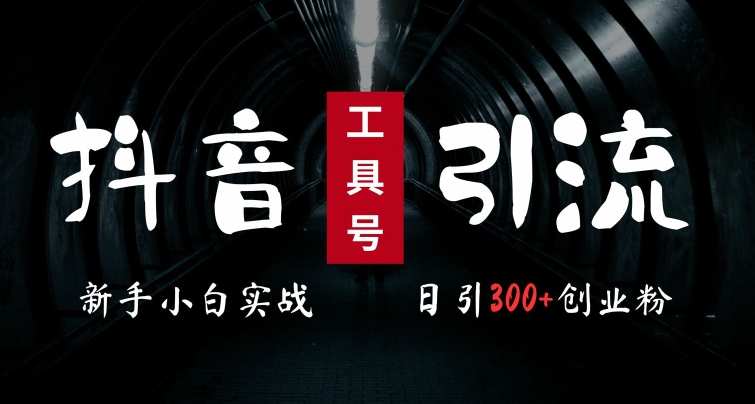 2024最新抖音工具号引流玩法，高效日引300+创业粉，当天变现5k，小白也可成为实战高手-七七项目网