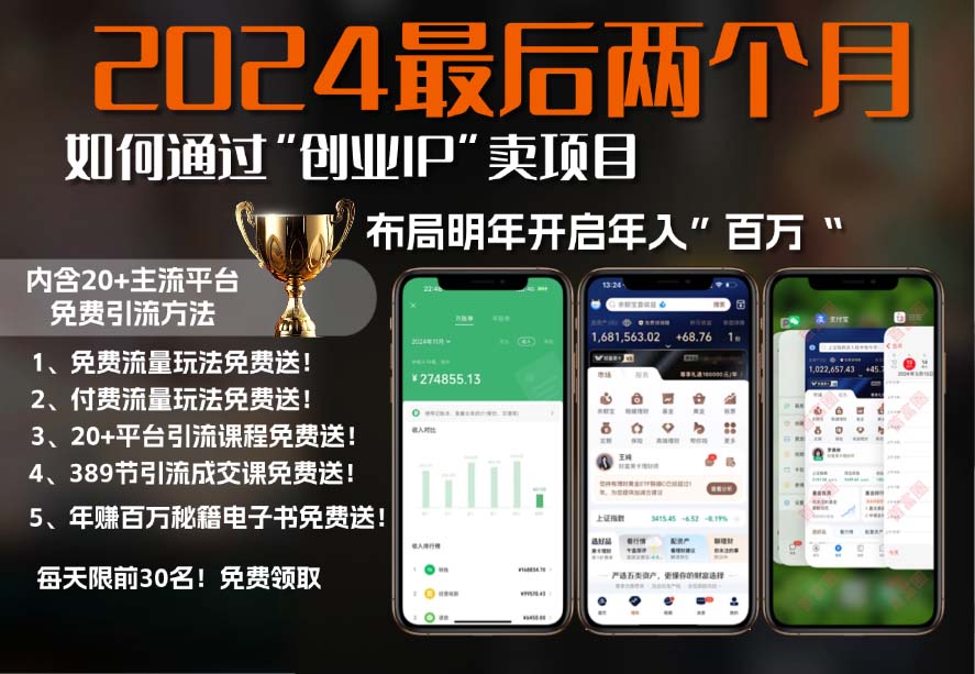 2024最后两个月如何通过”创业IP“卖项目年入”百万“,创业IP+最强引流…-七七项目网