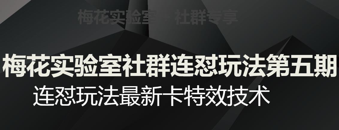 梅花实验室社群连怼玩法第五期，视频号连怼玩法最新卡特效技术-七七项目网