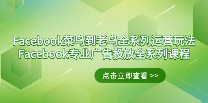 Facebook-菜鸟到老鸟全系列运营玩法+Facebook-专业广告投放全系列课程-七七项目网