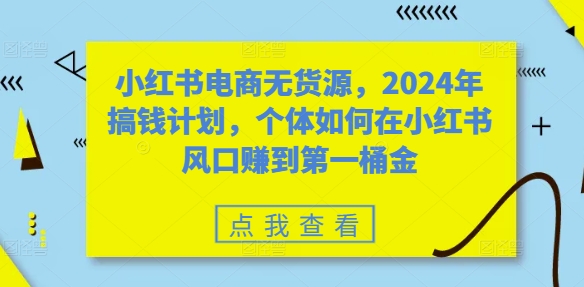 小红书电商无货源，2024年搞钱计划，个体如何在小红书风口赚到第一桶金-七七项目网