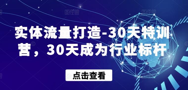 实体流量打造-30天特训营，30天成为行业标杆-七七项目网