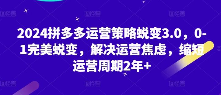 2024拼多多运营策略蜕变3.0，0-1完美蜕变，解决运营焦虑，缩短运营周期2年+-七七项目网