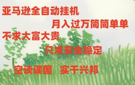 亚马逊全自动浏览挂机-七七项目网