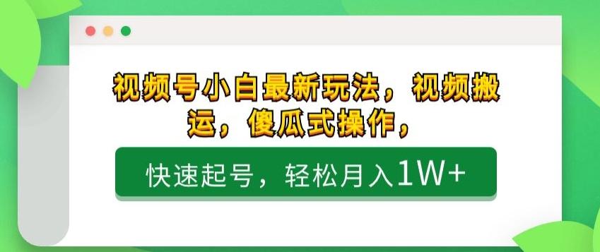 视频号小白最新玩法，视频搬运，傻瓜式操作，快速起号，轻松月入1W+-七七项目网