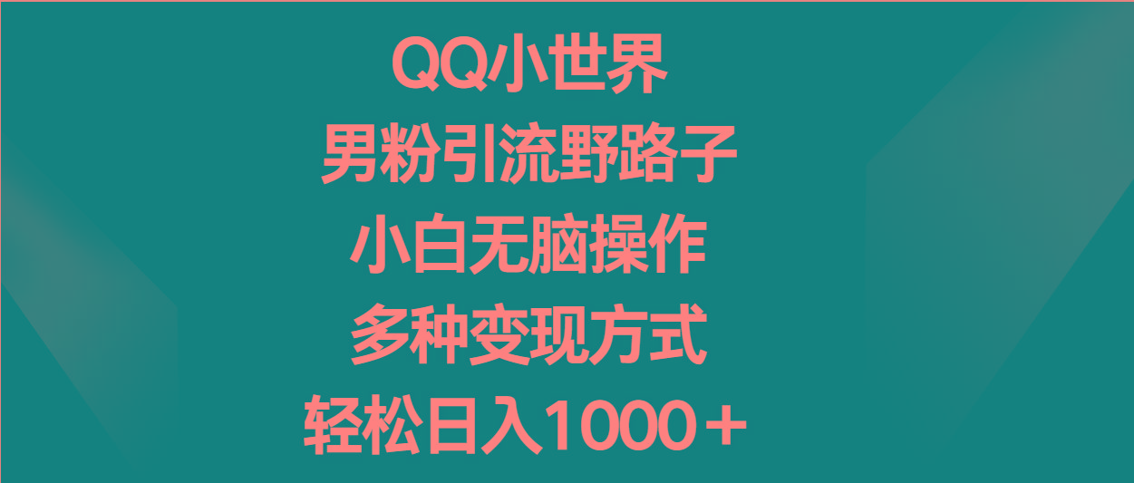 QQ小世界男粉引流野路子，小白无脑操作，多种变现方式轻松日入1000＋-七七项目网