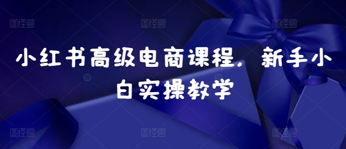 小红书高级电商课程，新手小白实操教学-七七项目网