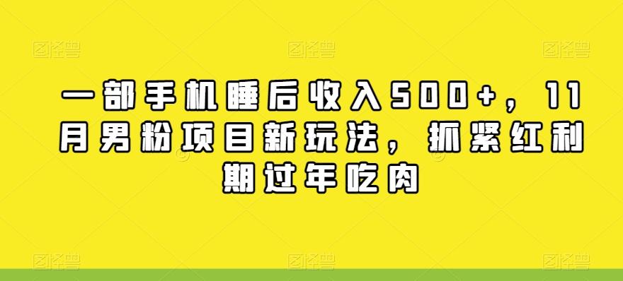 一部手机睡后收入500+，11月男粉项目新玩法，抓紧红利期过年吃肉-七七项目网