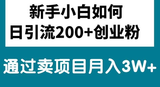 新手小白日引流200+创业粉,通过卖项目月入3W+-七七项目网