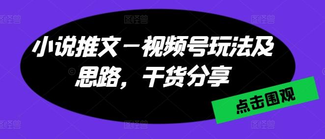 小说推文—视频号玩法及思路，干货分享-七七项目网