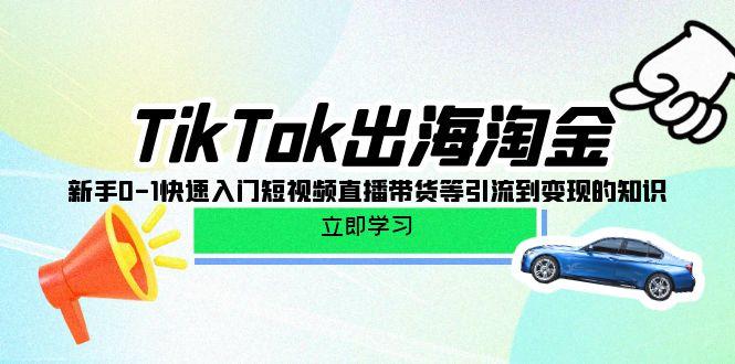 (10035期)TikTok-出海淘金，新手0-1快速入门短视频直播带货等引流到变现的知识-七七项目网