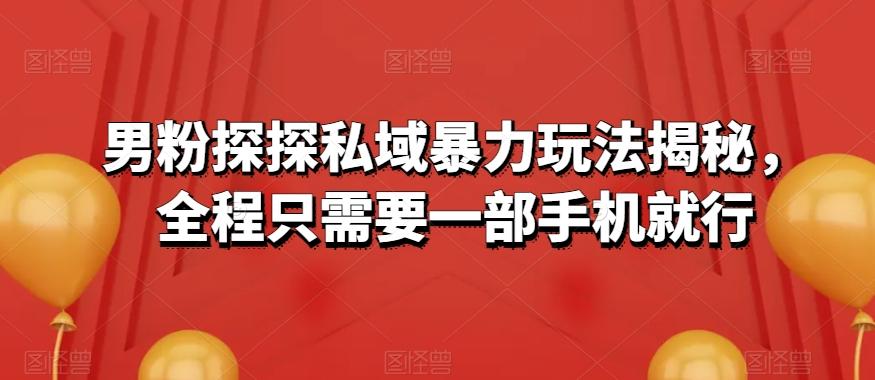 男粉探探私域暴力玩法揭秘，全程只需要一部手机就行-七七项目网