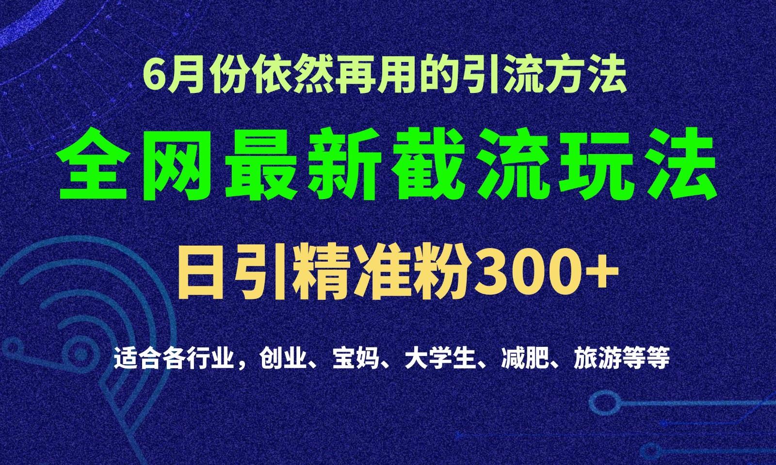 2024全网最新截留玩法，每日引流突破300+-七七项目网