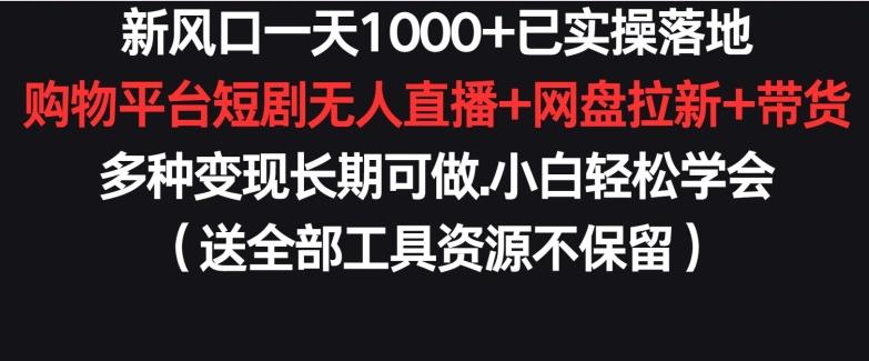 新风口一天1000+已实操落地购物平台短剧无人直播+网盘拉新+带货多种变现长期可做【揭秘】-七七项目网